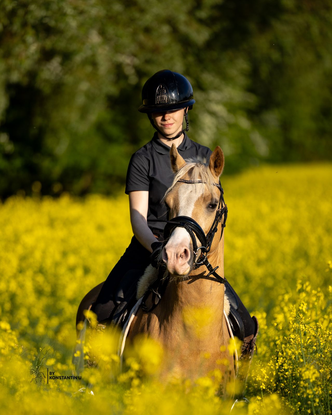 Janne auf einem Palomino-Pony im blühenden Rapsfeld