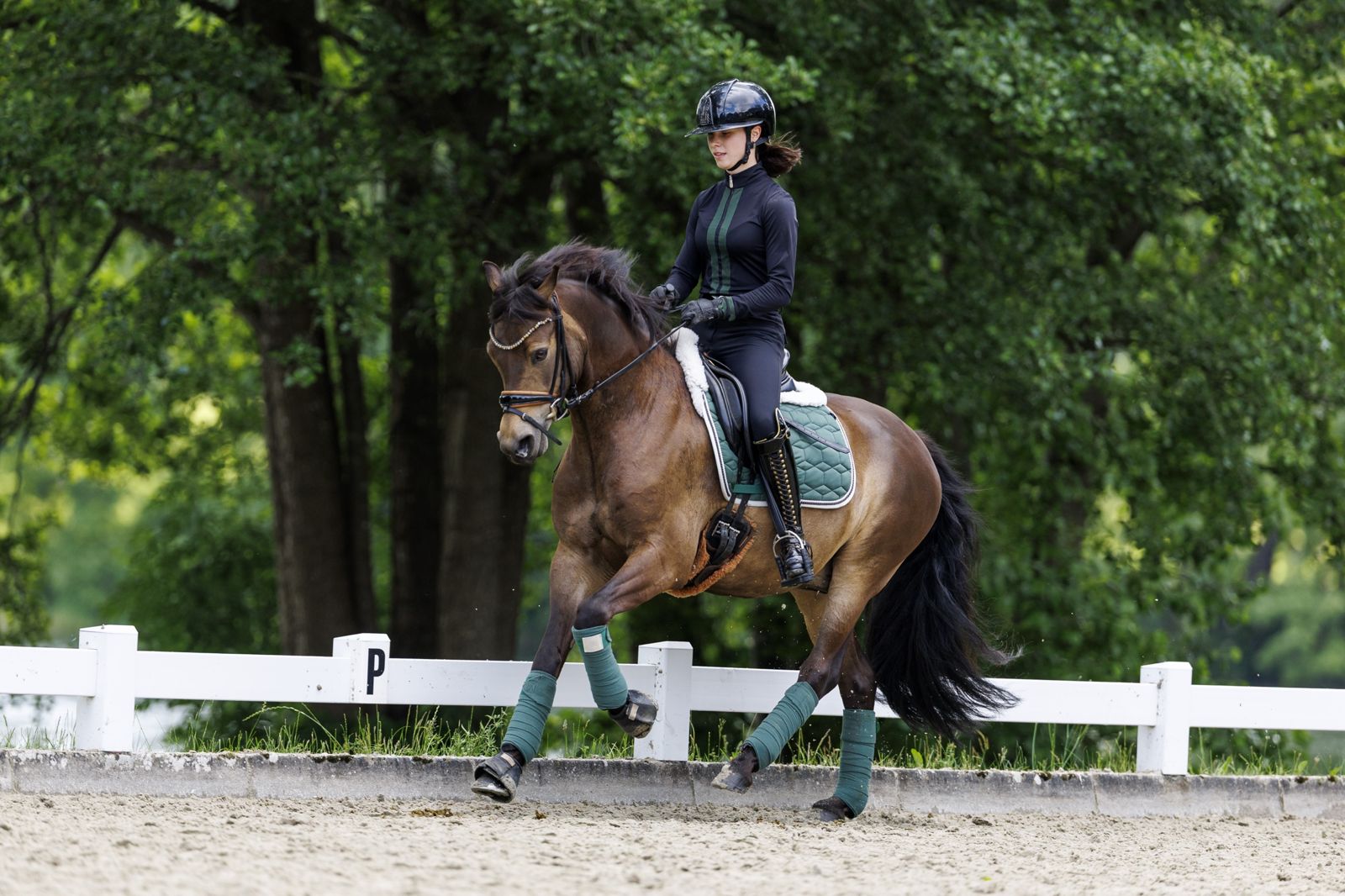 Galopp auf einem braunen Pony am Hufschlag